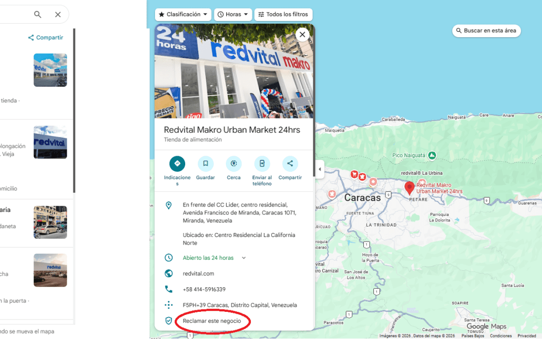 Informe de Auditoría de Presencia Digital Redvital: Brecha Crítica entre Reputación y Accesibilidad